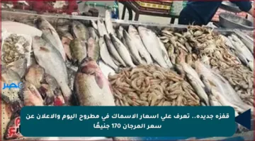 قفزة جديدة.. تعرف على أسعار الأسماك في مطروح اليوم والإعلان عن سعر المرجان 170 جنيهًا